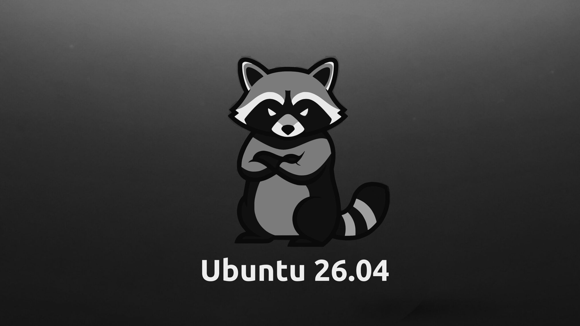 Angry raccoon black white - Ubuntu 26.04 Wallpapers - Official Resolute Raccoon Collection