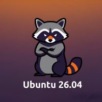Angry raccoon ubuntu colors