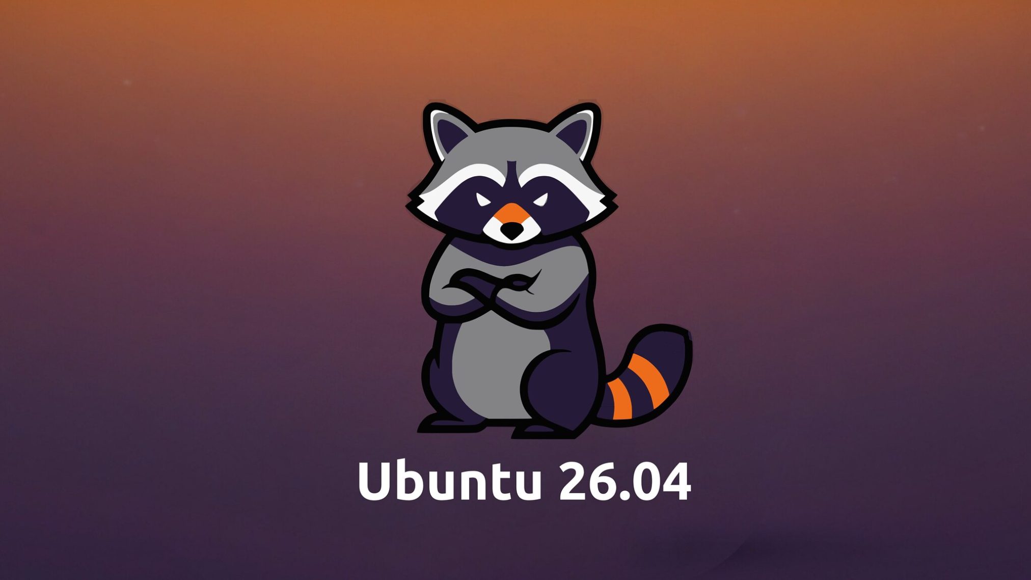 Angry raccoon ubuntu colors - Ubuntu 26.04 Wallpapers - Official Resolute Raccoon Collection