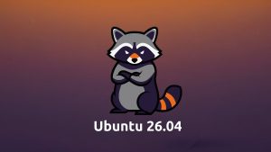 Angry raccoon ubuntu colors - Ubuntu 26.04 Wallpapers - Official Resolute Raccoon Collection
