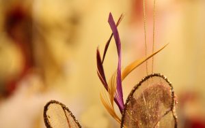 Feathers by andre tr - Ubuntu Budgie 26.04 Wallpapers - Official Indigo Collection