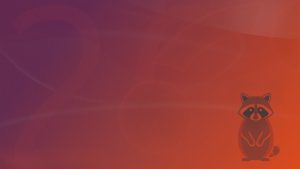 Orange blurd - Ubuntu 26.04 Wallpapers - Official Resolute Raccoon Collection