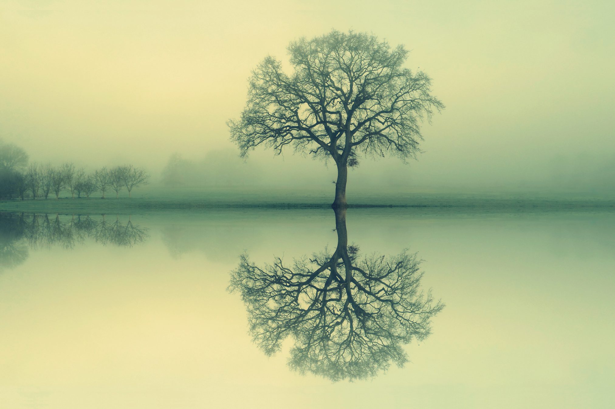 Thierry marthy unnamed 4k - Xubuntu 26.04 Wallpapers, Official Xfce Collection