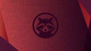 Unique - Ubuntu 26.04 Wallpapers - Official Resolute Raccoon Collection