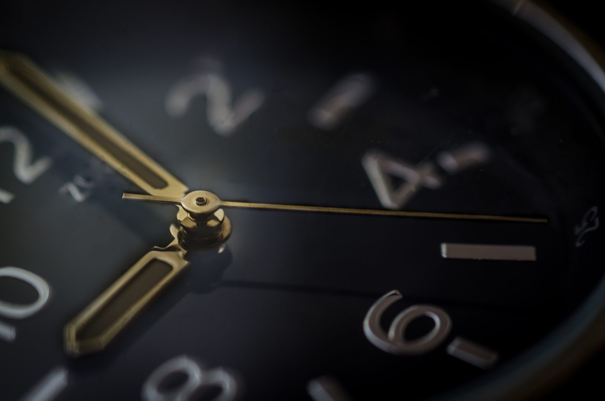 Watch macro by peter heeling - Ubuntu Budgie 26.04 Wallpapers - Official Indigo Collection