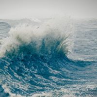 Water waves