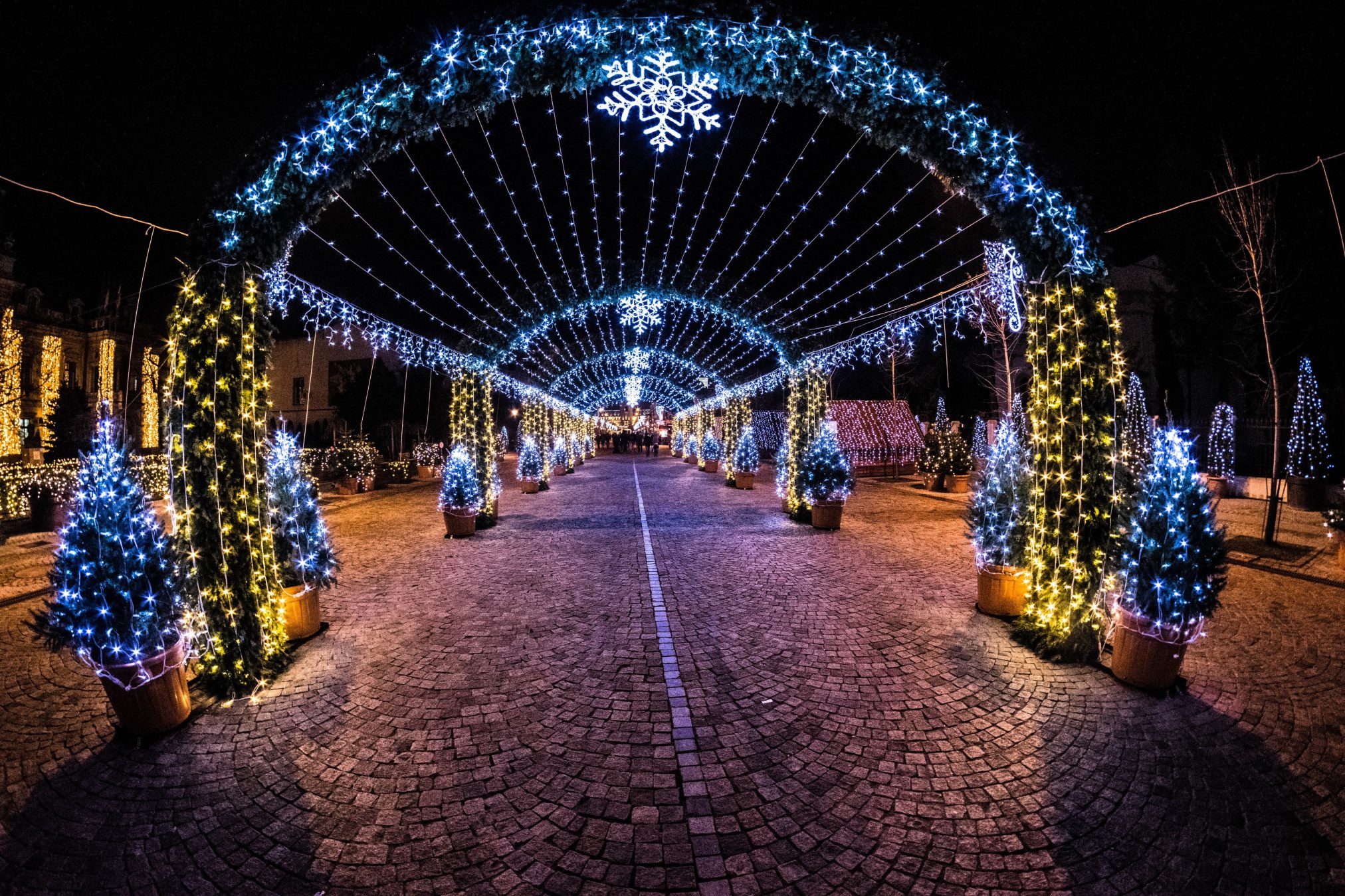 Wintermas lights by radu galan - Ubuntu Budgie 26.04 Wallpapers - Official Indigo Collection