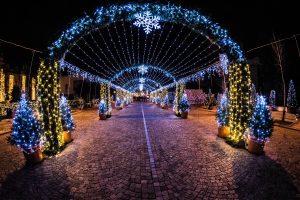 Wintermas lights by radu galan - Ubuntu Budgie 26.04 Wallpapers - Official Indigo Collection