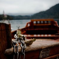 Wood wooden by alex klopcic