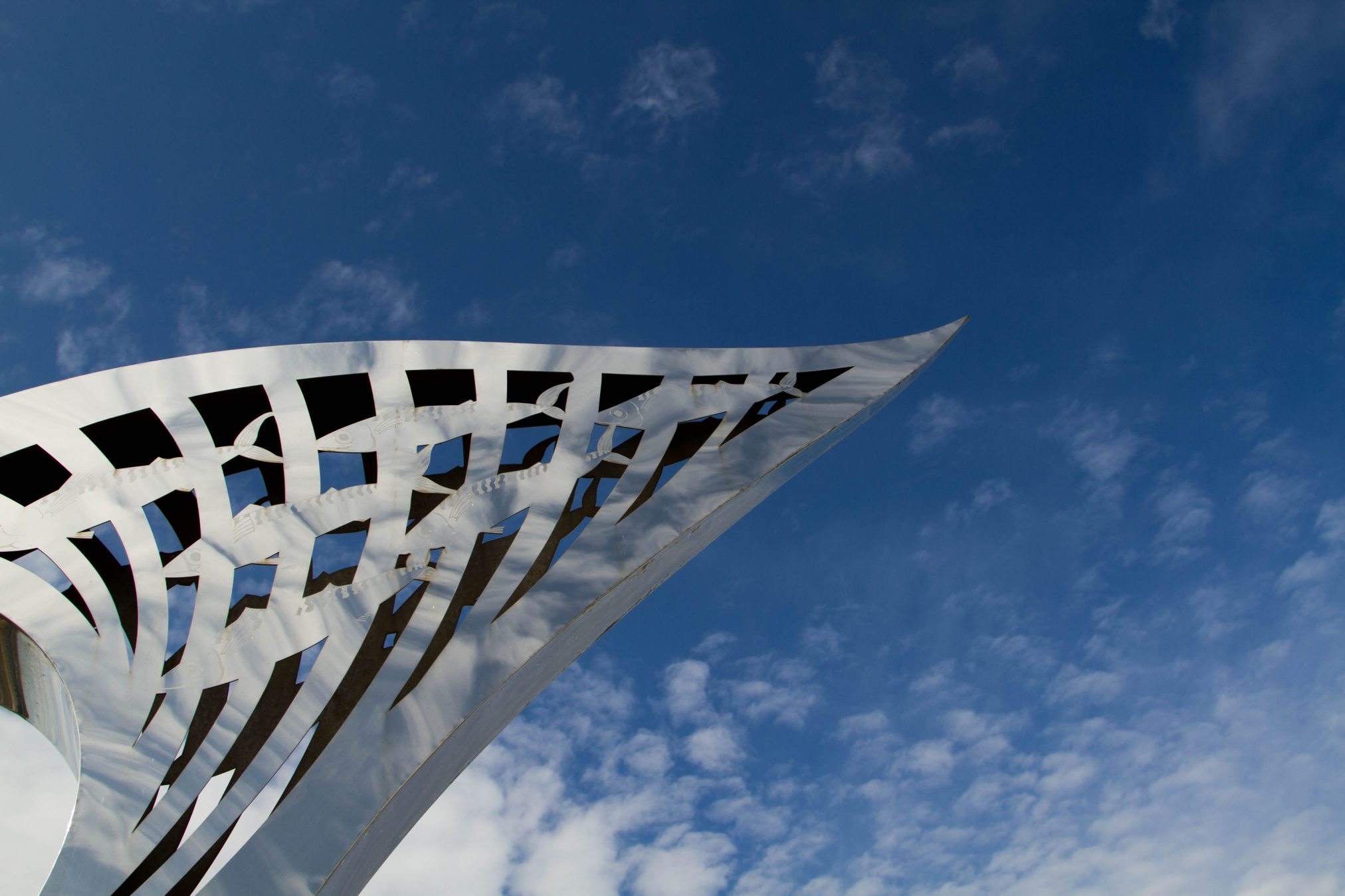 World photo walk day by mr drizz - Ubuntu Budgie 26.04 Wallpapers - Official Indigo Collection