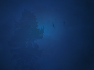 Xubuntu karmic - Xubuntu 26.04 Wallpapers, Official Xfce Collection
