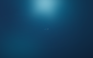Xubuntu raring - Xubuntu 26.04 Wallpapers, Official Xfce Collection
