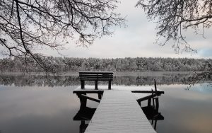 1604 dockwinter januszgolab - Ubuntu Studio 26.04 Wallpapers - Official Collection