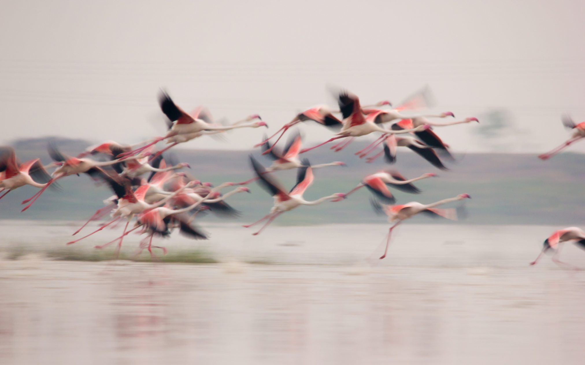 1604 lifeinslowmotion pushkardeshpande - Ubuntu Studio 26.04 Wallpapers - Official Collection
