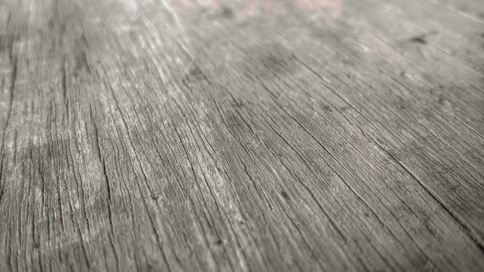 1604 plainwood pushkardeshpande - Ubuntu Studio 26.04 Wallpapers - Official Collection