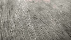 1604 plainwood pushkardeshpande - Ubuntu Studio 26.04 Wallpapers - Official Collection