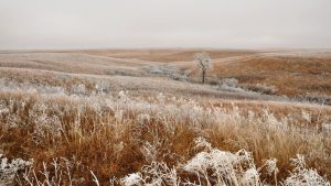 2004 frosty prairie fadedgreenpeace - Ubuntu Studio 26.04 Wallpapers - Official Collection