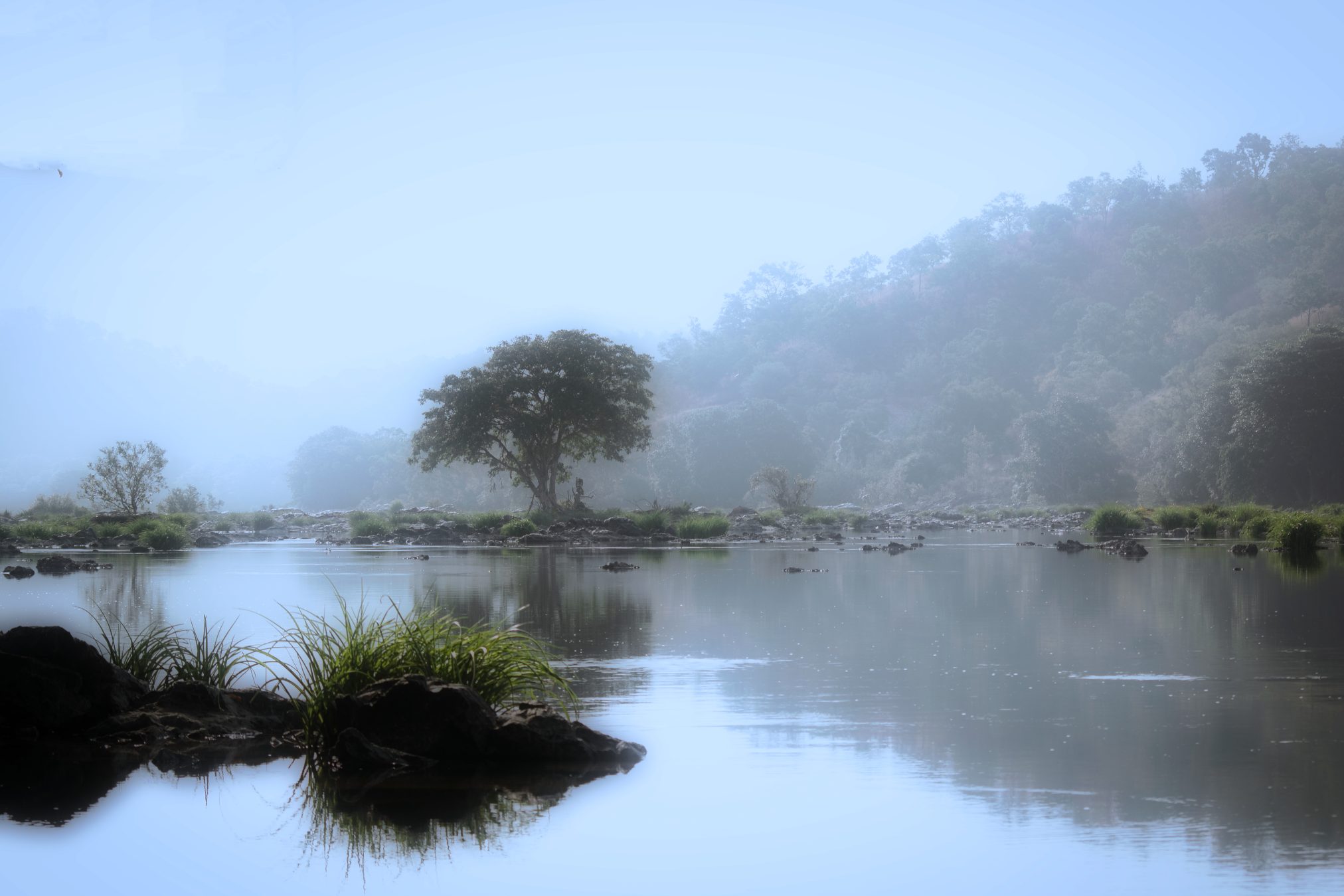 2004 misty vineethkartha - Ubuntu Studio 26.04 Wallpapers - Official Collection