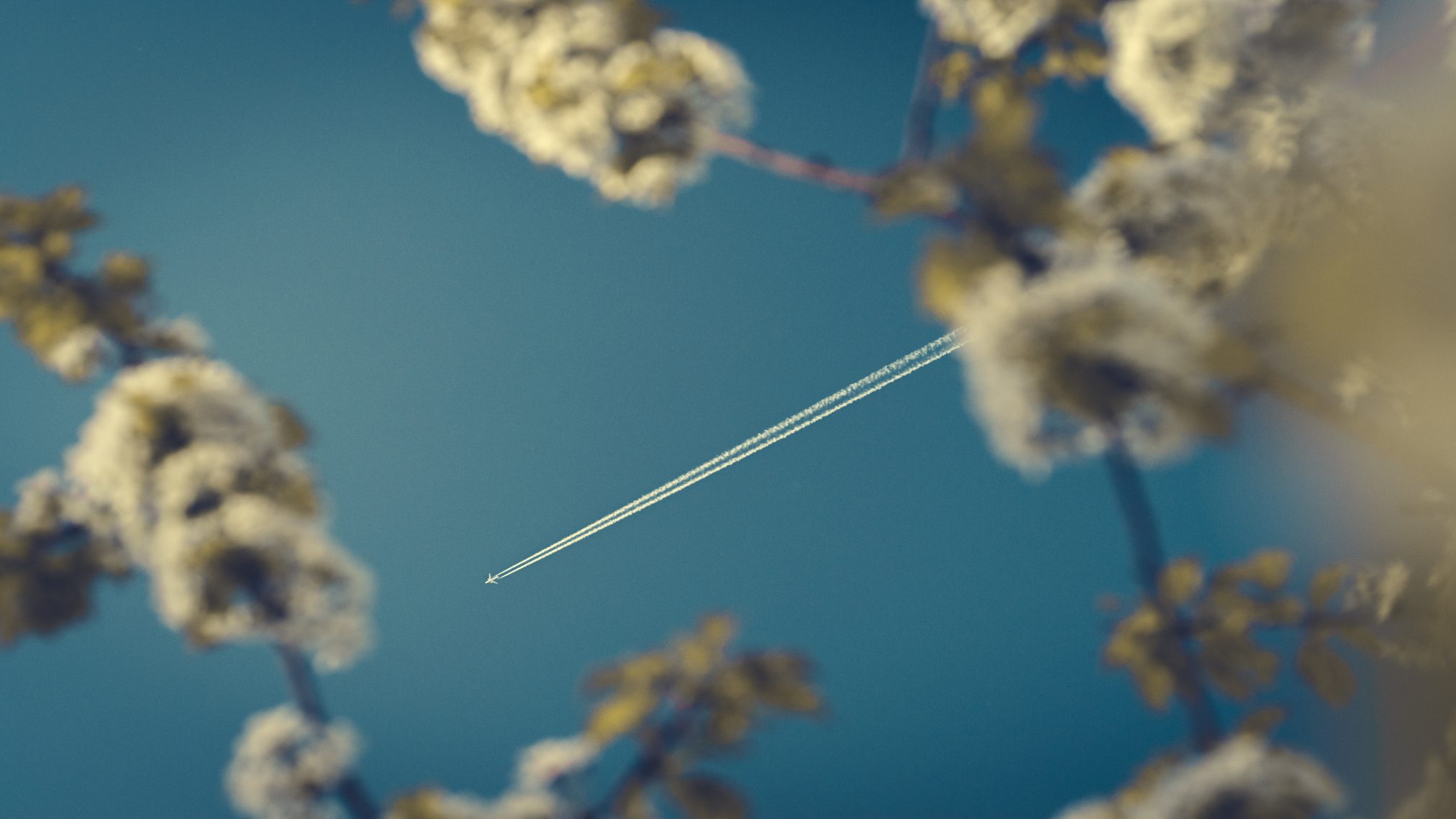 2004 sky kacperslusarczyk - Ubuntu Studio 26.04 Wallpapers - Official Collection