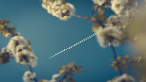 2004 sky kacperslusarczyk - Ubuntu Studio 26.04 Wallpapers - Official Collection