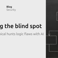 Canonical uncovers program flaws.