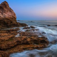 Charm of the sea