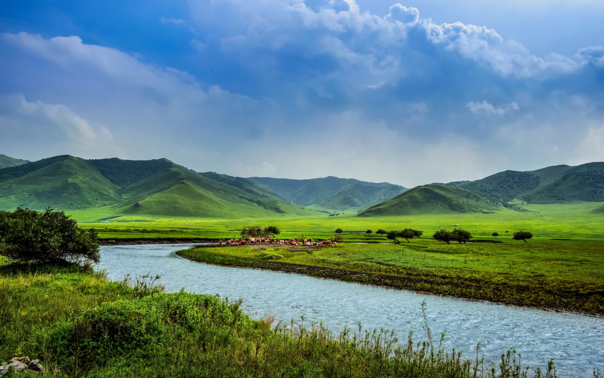 Summer in the north - Ubuntu Kylin 26.04 Wallpapers - Official Chinese-Themed Collection