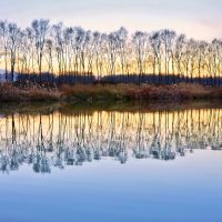 Autumn dusk