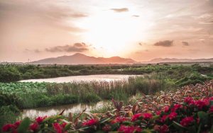 Dusk - Ubuntu Kylin 26.04 Wallpapers - Official Chinese-Themed Collection