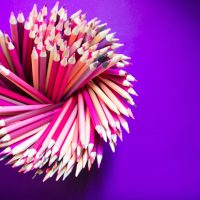 Edubuntu 26.04 lucas george wendt pink and white plastic sticks
