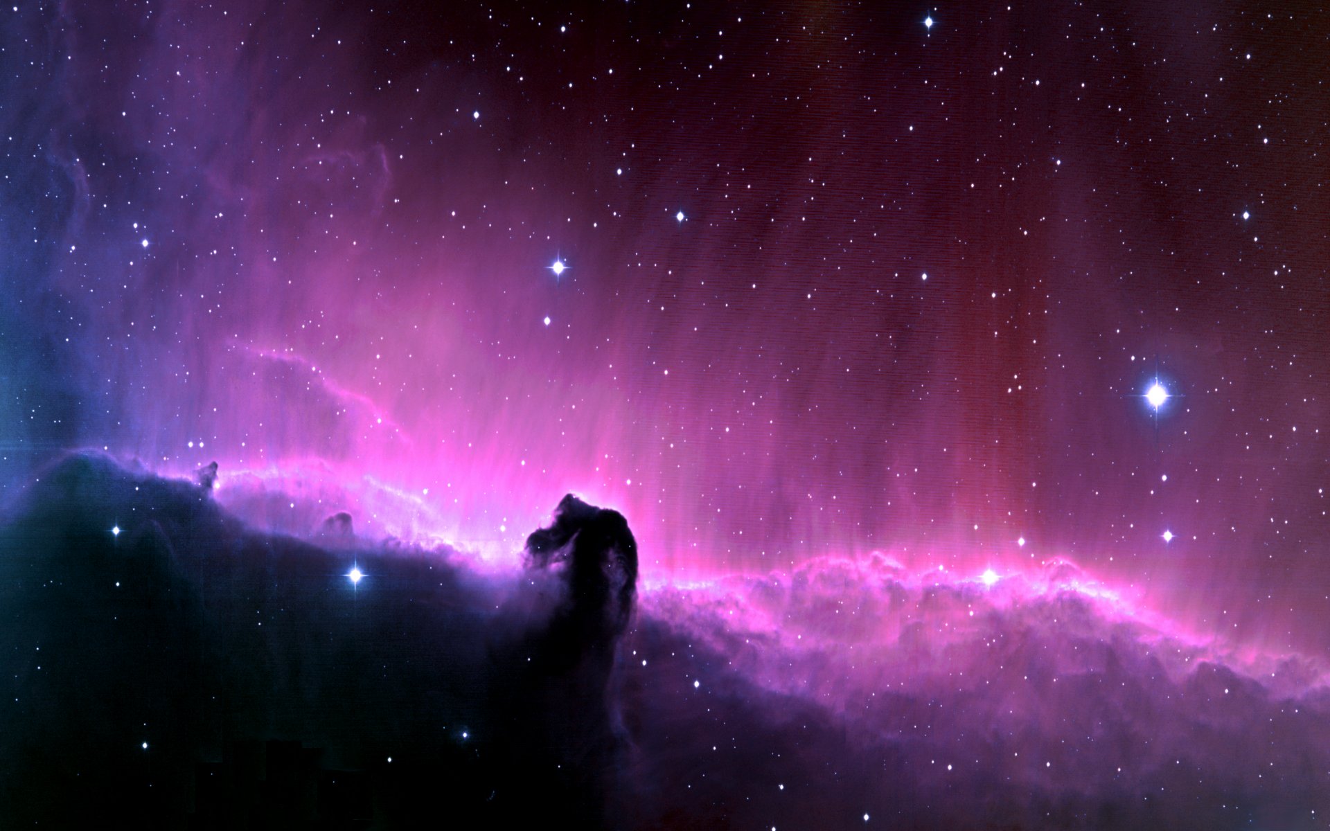 Edubuntu horsehead nebula - Edubuntu 26.04 Wallpapers - Official Education-Themed Collection