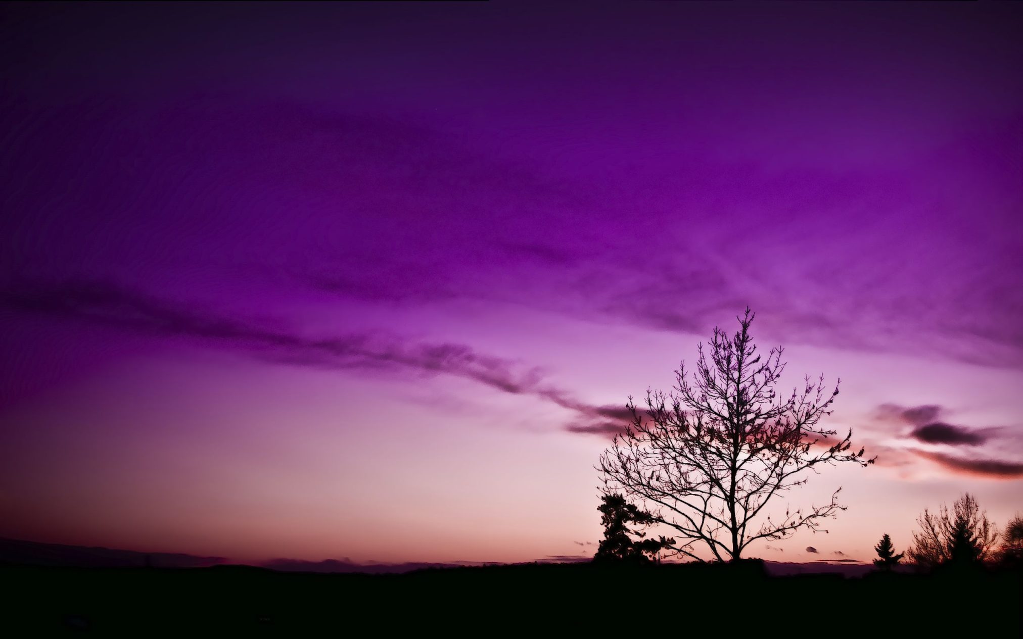 Edubuntu mrtau and tree by tj - Edubuntu 26.04 Wallpapers - Official Education-Themed Collection