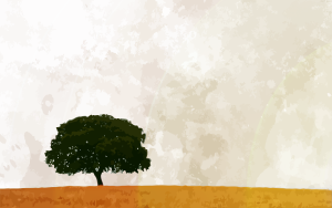 Edubuntu lonelytree - Edubuntu 26.04 Wallpapers - Official Education-Themed Collection