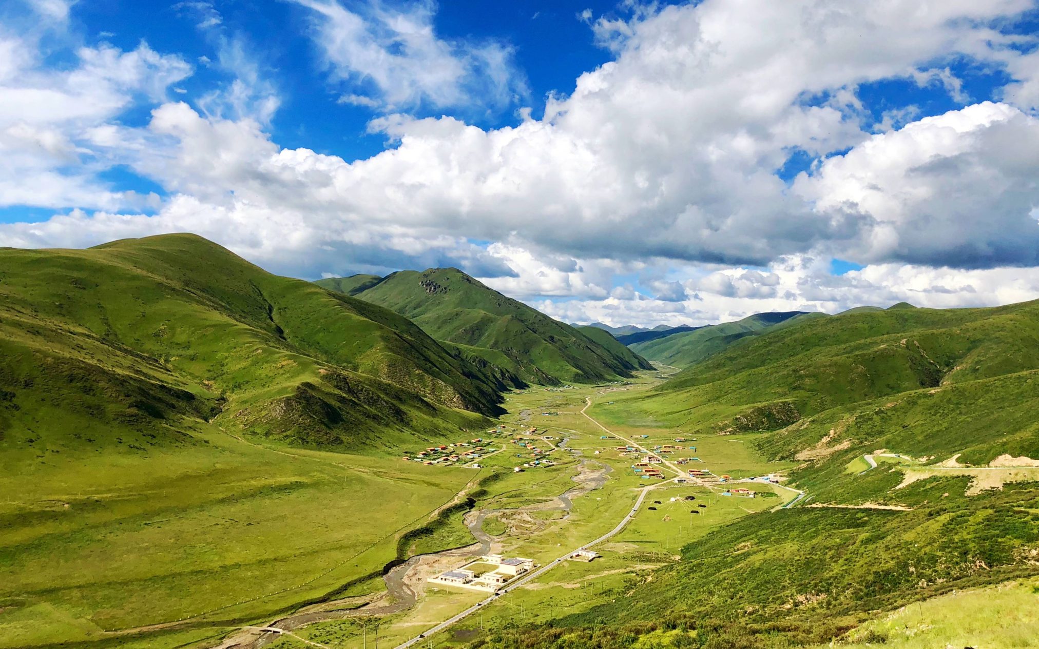 On the grassland - Ubuntu Kylin 26.04 Wallpapers - Official Chinese-Themed Collection