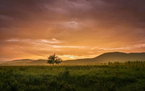 Twilight in the north of xinjiang - Ubuntu Kylin 26.04 Wallpapers - Official Chinese-Themed Collection