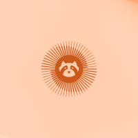 Ubuntu cinnamon resolute raccoon bright