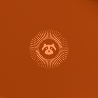 Ubuntu cinnamon resolute raccoon dimmed