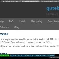 Qutebrowser dl page