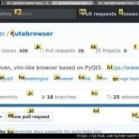 Qutebrowser hints