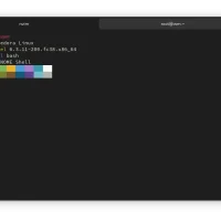 Black box terminal screenshot
