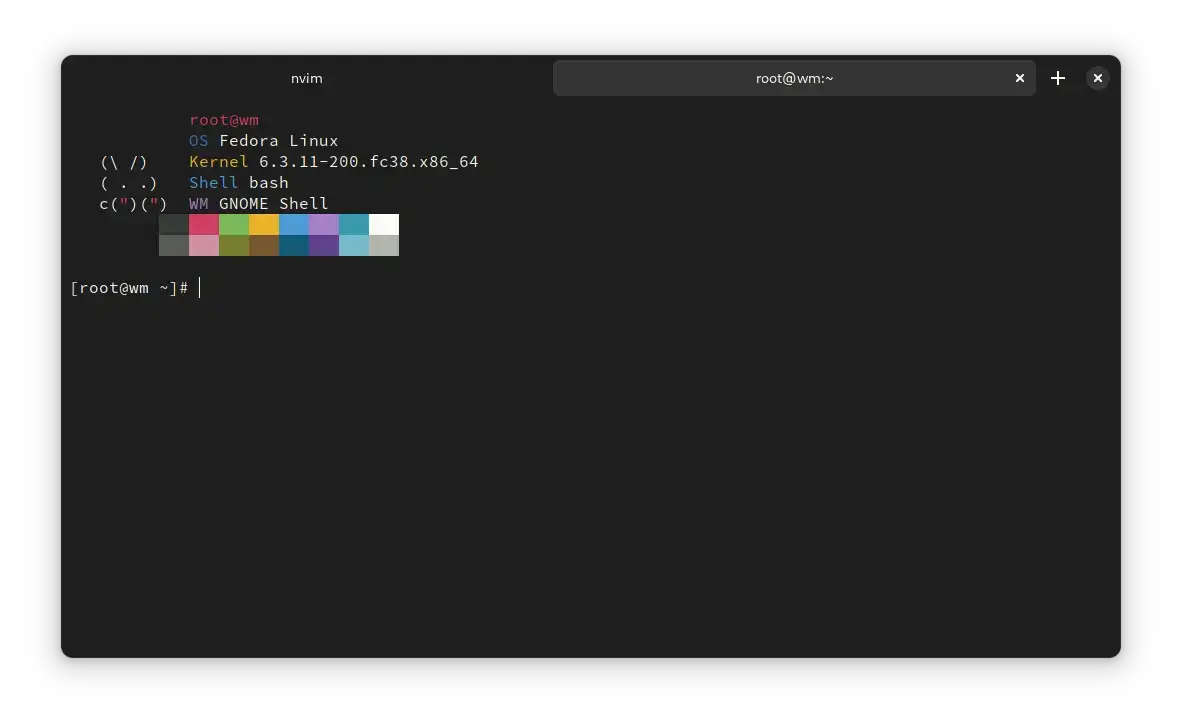 Black Box GTK4 terminal on Ubuntu with beautiful themes
