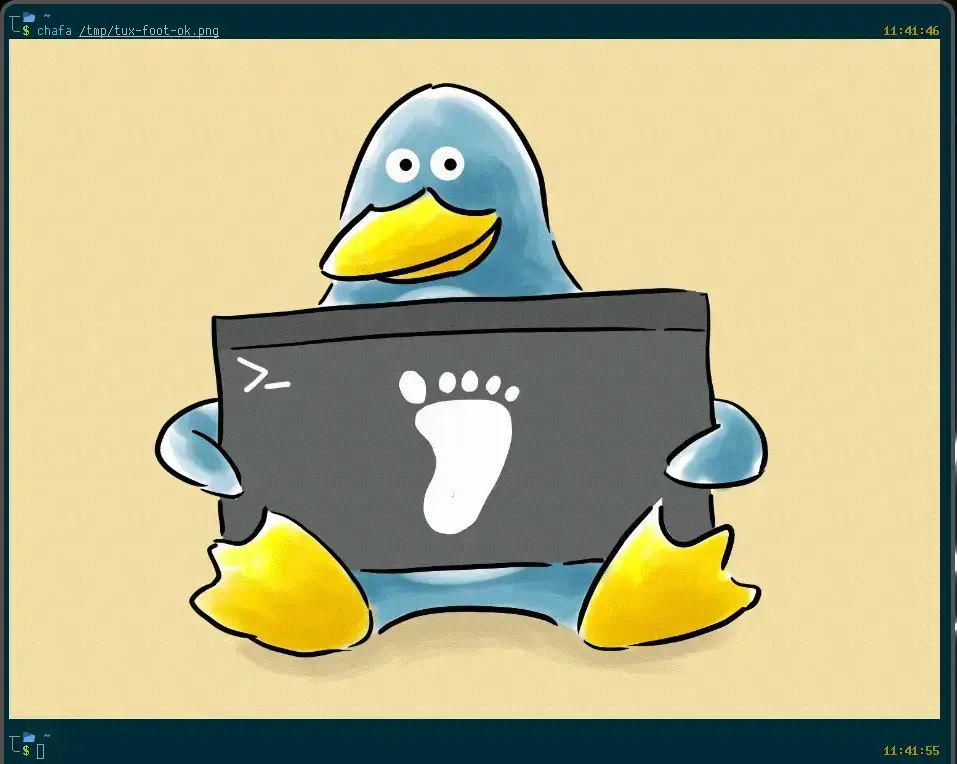 Foot Wayland terminal on Ubuntu showing fast minimal design