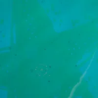 Murky divers cover art