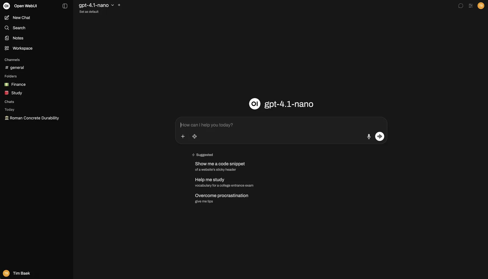The Open WebUI chat screen, with a sidebar for past chats and folders on the left and a message box in the middle