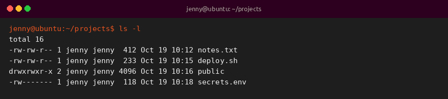 ls -l sample output showing permissions on Ubuntu 26.04