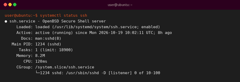 Sample terminal output of systemctl status ssh showing a running service on Linux